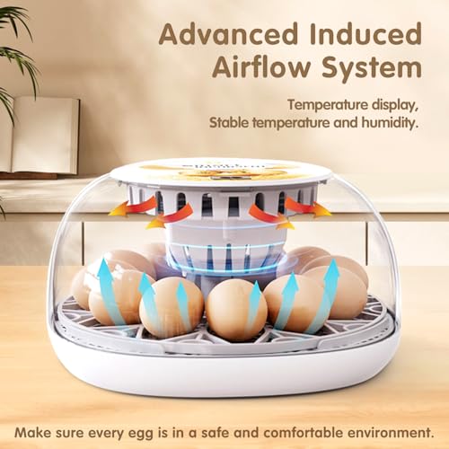 Egg Incubators for Hatching Eggs Chicken Eggs Incubator for Hatching Eggs Incubator with Automatic Egg Turner and Temperature Control for Chicken, Duck, Quail 12 Eggs