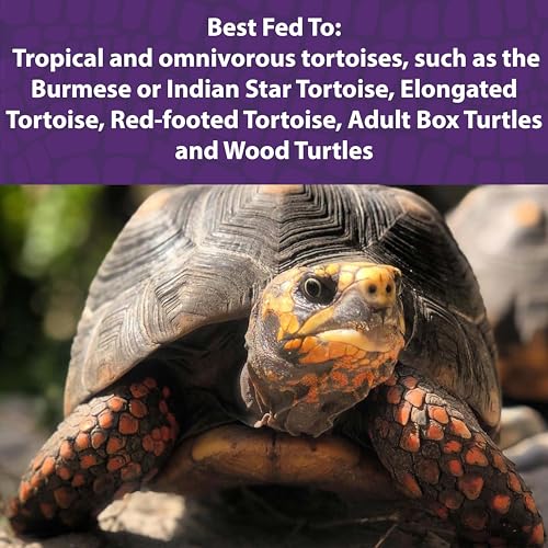 Mazuri | Tortoise Diet | 1.25 Pound (1.25 LB) Bag - size: 1.25 Pound (Pack of 1)