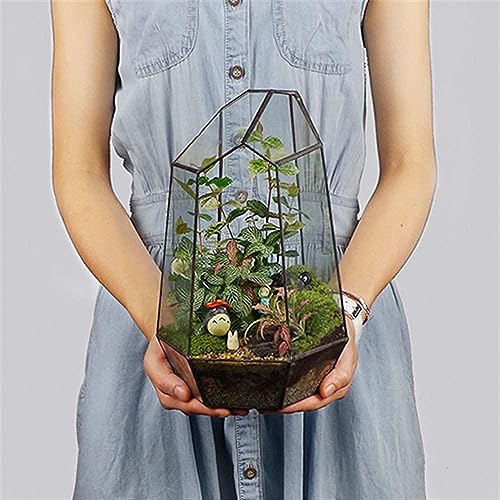 No-Door Glass Terrarium Planter for Succulents, Cactus & Moss | Black geometric glass container for small plant displays; plants/decor not included; best for dry or lightly misted setups. - size: Large Irregular