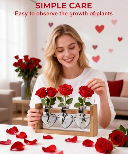 Plant Terrarium with Wooden Stand, 3 Heart Bulb Glass Vases | Wooden Stand Tabletop for Air Planter, Gifts for Mom Plant Lovers Mom Women Wife Grandma - color: Light Gray