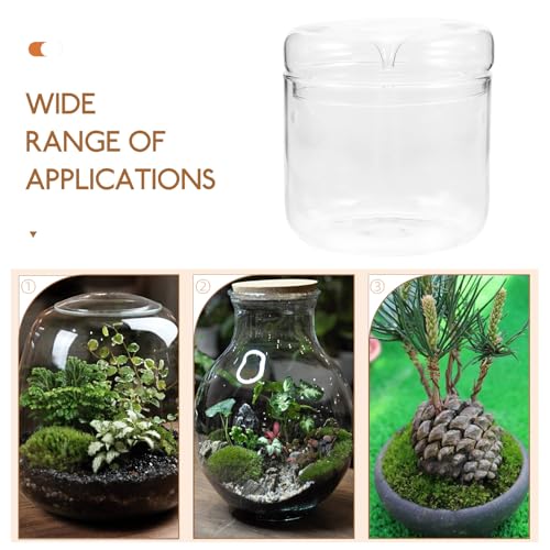 Alasum Micro Landscape Moss Terrarium Glass Container for Office Desktop, 12X12Cm Eco Bottle Planter with Ecosystem for Creative Indoor Plant Decoration