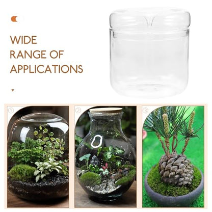 Alasum Micro Landscape Moss Terrarium Glass Container for Office Desktop, 12X12Cm Eco Bottle Planter with Ecosystem for Creative Indoor Plant Decoration