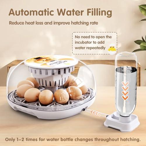 Egg Incubators for Hatching Eggs Chicken Eggs Incubator for Hatching Eggs Incubator with Automatic Egg Turner and Temperature Control for Chicken, Duck, Quail 12 Eggs