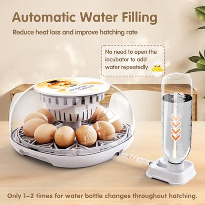 Egg Incubators for Hatching Eggs Chicken Eggs Incubator for Hatching Eggs Incubator with Automatic Egg Turner and Temperature Control for Chicken, Duck, Quail 12 Eggs
