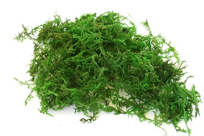 SuperMoss (23806) Mountain Moss – Natural Green Sphagnum Moss for Soil Top Dressing, Potting Mix, Garden Decor, and Craft Projects, 2,588 cu in, Preserved