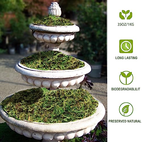 35 OZ Moss for Potted Plants Fake Moss for Fake Plants,Artificial Moss for Crafts,Faux Moss for Fake Plants Decroative Moss Artificial Green Moss