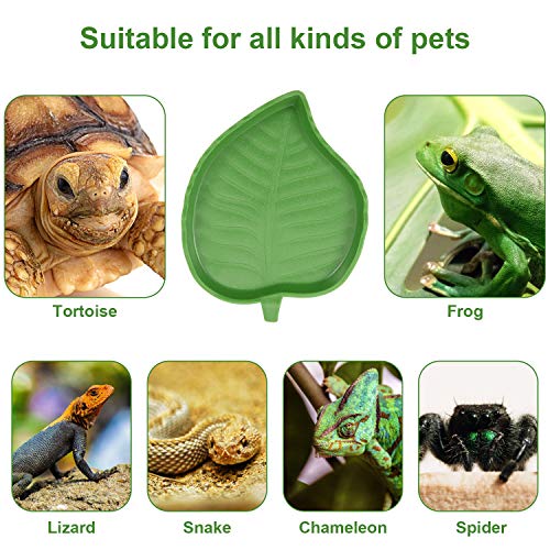 Boao 4 Pcs Leaf Reptile Water Bowl Turtle Feeding Dishes Reptile Water Bowl Pet Food Feeding Plate for Tortoise Corn Snake Crawl Pet Bearded Dragon, Lizards, Gecko Drinking and Eating, 2 Sizes
