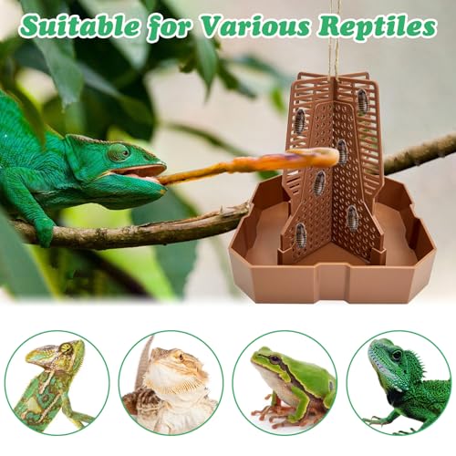 2PCS Reptile Hunting Bowl,5.8"×5.8"×6.1" H Insect Feeding Box with Rope and Tweezers Chameleon Feeder Bowls Hanging Bearded Dragon Bug Bowls Mounted Insect Reptile Feeder Box(Brown,Large) - color: Brown, size: Large:5.8"L×5.8"W×6.1"H