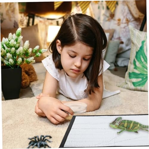 BESPORTBLE Reptile Heating Pad Film Insulated Mat for Turtles Snakes Lizards and Geckos Heat Retention for Optimal Pet Comfort - size: 29.30X29.30X0.30CM