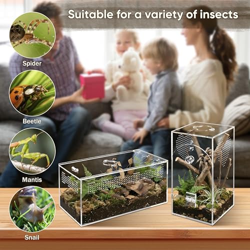 Jumping Spider Enclosure Set, Terrestrial Arboreal Combo, Acrylic Tarantula Terrarium, Praying Mantis Habitat, No Assembly, 2-Size Kit, Large - size: Large