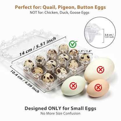 120 Pack Quail Egg Cartons 12 Grid, Heavy Duty Snap Lock Clear Plastic Small Egg Container, Stackable Bulk Tray for Quail Pigeon Button Eggs - Not for Chicken Eggs