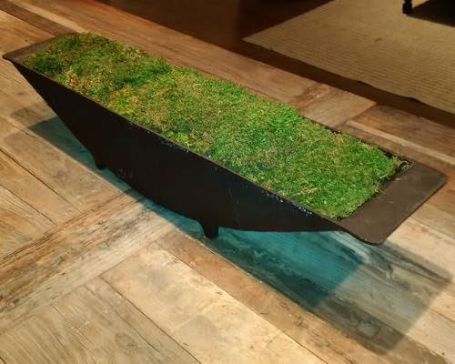 Mosser Lee ML0480 Natural Green Sheet Moss – 520 sq. in. – Organic Decorative Moss for Terrariums, Planters, Crafts & Moisture Retention - style: 520 Sqaure Inch