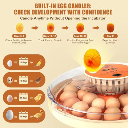 Nest II - 30 Egg Incubator for Large-Batch Hatchers, Hands-On Control, Auto Egg Turning, Manual Water Fill, Consistent Temp, Real-Time Display, Candler for Chicken, Goose, Duck, Quail, Pigeon, Turkey - size: 30 Egg [Orange]