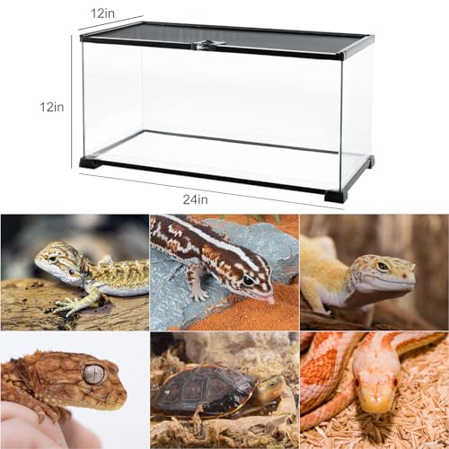 REPTI ZOO Full Glass 15 Gallon Reptile Tank, Medium Reptile Terrarium 24" X 12" X 12" for Gecko Hermit Crab Hognose Snake etc, Top Screen Ventilation & Feeding - size: 24"W X 12"D X 12"H (15 Gallon)