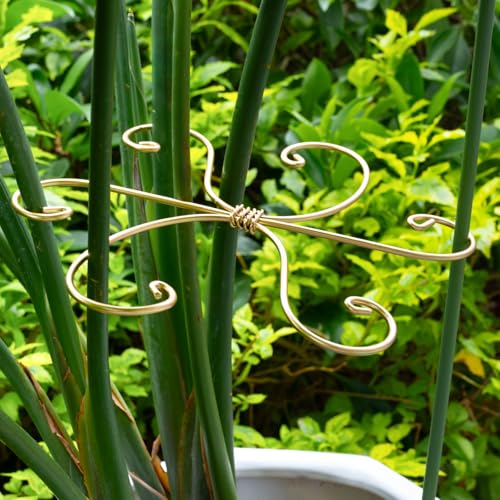7.5In Monstera Plant Stem Support Hook Set-5PCS Metal stem Holder | Premium Stem Support for Monstera & Fishbone,Essential Growth Stabilizers for Leaf Support,Ideal Gift for Plant Lovers - size: 7.5 x 7.5 inches