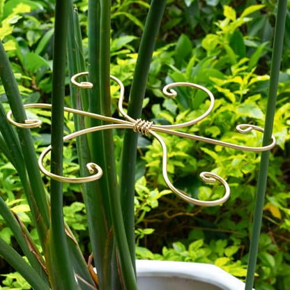 7.5In Monstera Plant Stem Support Hook Set-5PCS Metal stem Holder | Premium Stem Support for Monstera & Fishbone,Essential Growth Stabilizers for Leaf Support,Ideal Gift for Plant Lovers - size: 7.5 x 7.5 inches