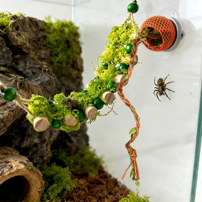 Jumping Spider Rope Bridge Jumping Spider Hides Enclosure Accessories | A Solid Wood Climbing Suspension Bridge, a Spider Jump Platform, Used As a Decorative Accessory for Small Reptile Enclosures