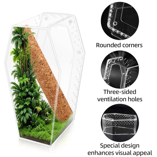 Jumping Spider Enclosure, Magnetic Door Acrylic Terrarium with Feeding Dish & Landscape Stick for Tarantula Snails Insects Reptiles Plants, Coffin Shape Tabletop Decor 4" x 4" x 8"