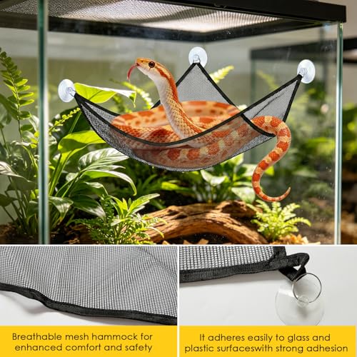Snake Reptile Enrichment Ball & Hammock Combo, Durable Climbing Gym with Secure Chain - Fun Exercise & Resting Toy for Small Pet Snakes Including Pythons & Iguanas, Anoles, Geckos, Snakes, Chameleon