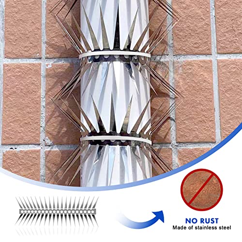 Bird Spikes - 20 Inch Stainless Steel Fence Spikes for Pigeons, Raccoons, Snakes - Deterrent Defender | 20 inch stainless steel bird spikes - size: 20 inch