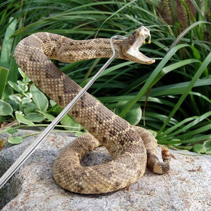 Retractable Stainless Steel Snake Hook Extension Catching Tool Portable Black Professional Reptile Handling Equipment for Snake Keepers
