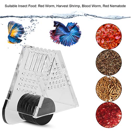 Aquarium Transparent Acrylic Feeding Container Fish Cone Feeder with Magnetic Suction Fish‑Box Feeder for Aquarium Accessories