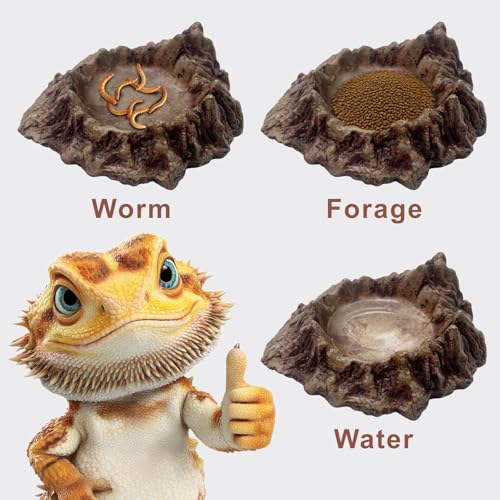 Rockery Reptiles Food Bowl, Landscaping Tank Accessory | Amphibian Feeding Bowl ,Small Pets Water Dish Terrarium Decor for Lizards,Gecko,Chameleon,Snake,Tortoise,Brown,1 Piece