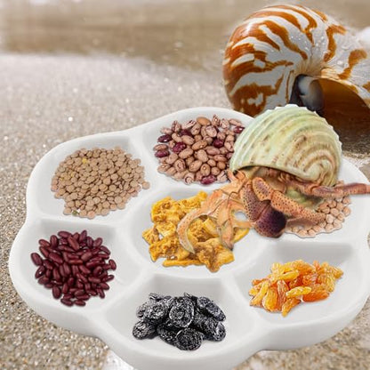 Hermit Crab Food Dish, 3 Pcs Mini Ceramic Hermit Crab Feeding Dish Tiny Reptile Water Bowl with 7 Compartments for Snail, Gecko, Lizard, Aquarium Accessory