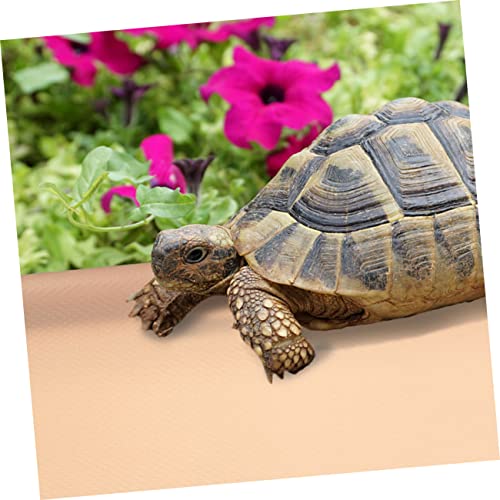 MERRYHAPY Eva Reptile Carpet Mat Non-Slip Terrarium Bedding for Tortoises Lizards and Snakes Soft Eva Material Easy Clean Substrate Lotus Pink - color: Beige