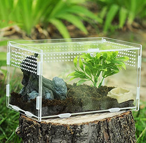 AWXZOM Magnetic Acrylic Case, micro habitat small Tarantula Enclosure enclosure for arboreal Tarantula Scorpion Sling Lizards Mantis Snake Gecko jumping spider snail Insect Isopods (7.8*4.7*4.7inch) - size: 7.8*4.7*4.7inch