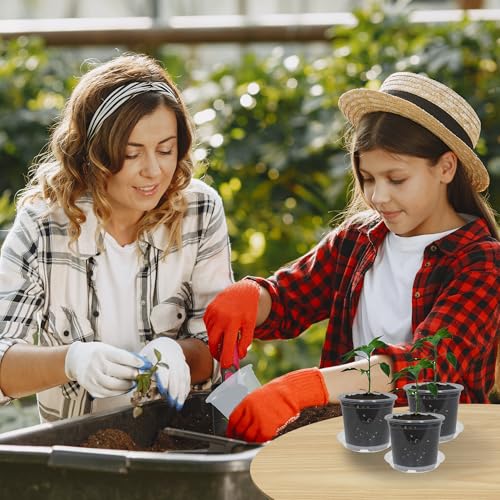 30 Pack 3/4/5/6/7 Inch Clear Nursery Pots with Drainage and 30 Pack Plant Saucers, Plant Pots for Plants Transparent Potting Containers for Plants Seeding Starter Pot (Clear, 3/4/5/6/7 Inch) - size: 3/4/5/6/7 Inch