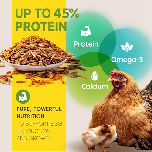 5LB Non-GMO Dried Black Soldier Fly Larvae for Chickens 45% Protein High Calcium Chicken Feed Alternative to Mealworms, Dried BSF Larvae Chicken Treats for Laying Hens Ducks Birds Reptiles - size: 5 Pound (Pack of 1)