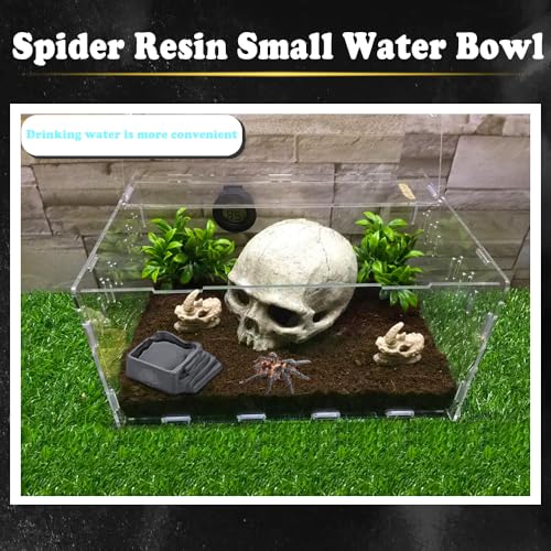 6 Pack Tarantula Water Bowl Hermit Crab Resin Dish for Reptile Tarantula Spider Millipede Insect (Large: 0.94" D, 0.47" H)