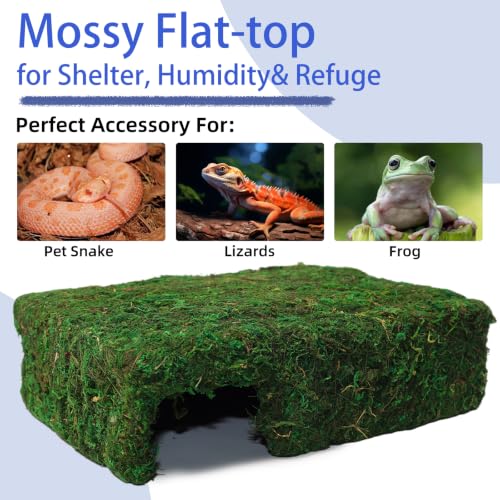 Handmade Reptile Moss Cave M, 9.4" Shelter for Gecko Hamster | Moss reptile cave hide, Smooth edges, no injury, Suitable for humid environments - color: M Green