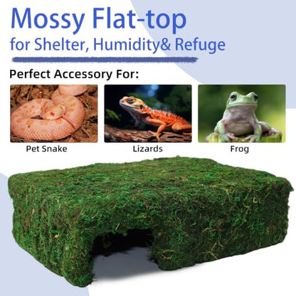 Handmade Reptile Moss Cave M, 9.4" Shelter for Gecko Hamster | Moss reptile cave hide, Smooth edges, no injury, Suitable for humid environments - color: M Green
