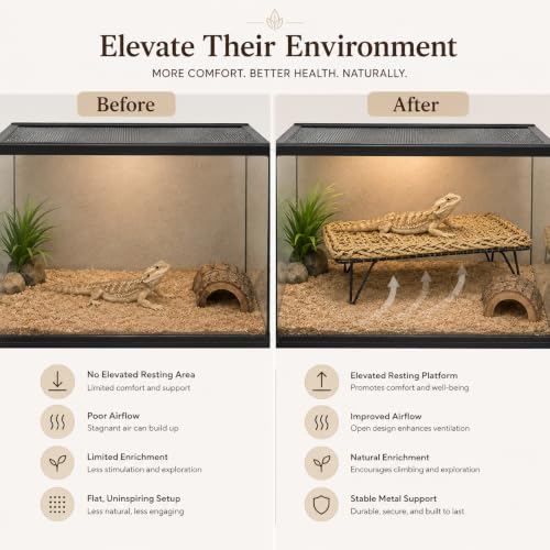 Natural Seagrass Reptile Hammock Bed with Adjustable Metal Legs, Large Elevated Resting Platform for Bearded Dragon, Lizard, Gecko, Snake, Turtle & Terrarium Pets, Includes Humidity Meter