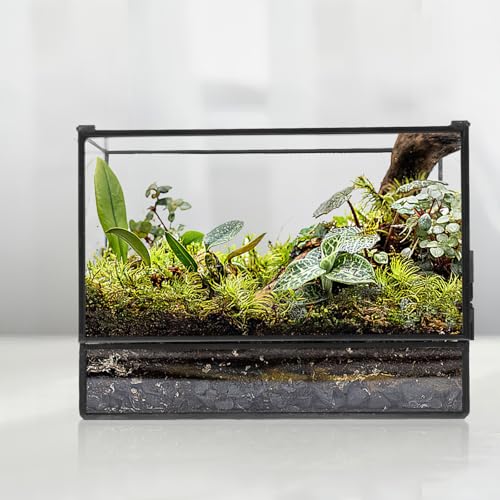 Happyyami Glass Terrarium Micro Landscape Container for Indoor Desktop Ecosystem Moss Planter Small Geometric Glass Holder 145x80x195mm Suitable for Succulent and Moss Gardening