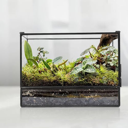 Happyyami Glass Terrarium Micro Landscape Container for Indoor Desktop Ecosystem Moss Planter Small Geometric Glass Holder 145x80x195mm Suitable for Succulent and Moss Gardening