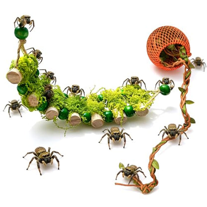 Jumping Spider Rope Bridge Jumping Spider Hides Enclosure Accessories | A Solid Wood Climbing Suspension Bridge, a Spider Jump Platform, Used As a Decorative Accessory for Small Reptile Enclosures