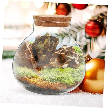 KALLORY Glass Ecological Bottle Terrarium with Cork Stopper, 10X11Cm Micro Landscape Moss Plant Container for Indoor Gardening and Decorative Ecosystem