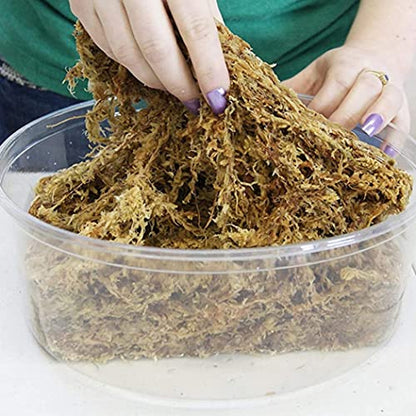 Sphagnum Moss Dried Spagnum Dry Moss for Reptiles Bedding and Terrarium Pet Supplies 150g Sphagnum Dried Dry for Reptiles Reptile Spagnum for Plants