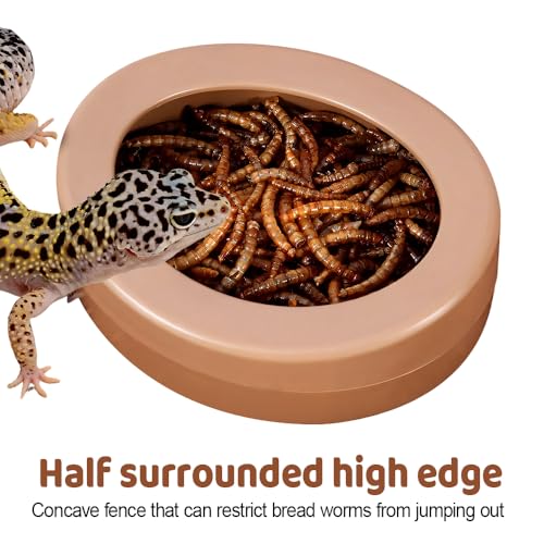 Reptile Food Bowls, 3PCS Anti-Escape Reptile Feeder with Semi-Enclosed Design Terrarium Accessories for Gecko Bearded Dragon Reptiles