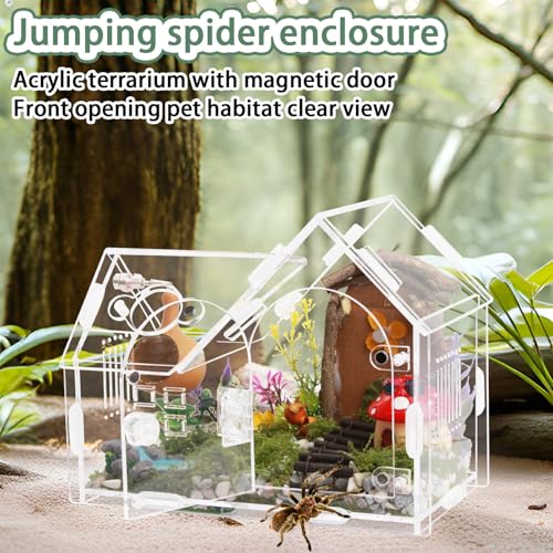 Acrylic Jumping Spider Enclosure House-Shaped Terrarium | Magnetic front door lock, top sliding feeding port, 1mm ventilation holes, scratch-resistant clear acrylic - color: transparent