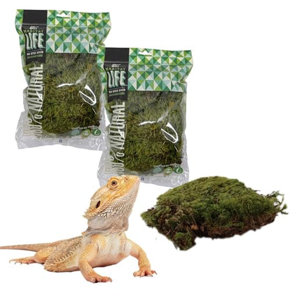 Mood Moss for Terrarium Habitats, Small 2-Pack | Preserved Moss for Reptiles, Amphibians & Invertebrates Terrariums, Humidity Control, Soft, Dye-Free, Family Owned, USA Made - size: Small 2-pack, style: Mood Moss