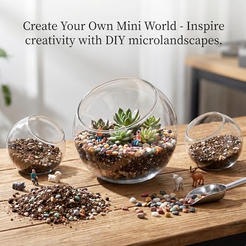 3 Pack Glass Terrarium Containers, Slanted Bowl Air Plant Holder Set | Small Clear Round Succulent Planter Globe for Micro Landscape, Candle Decor