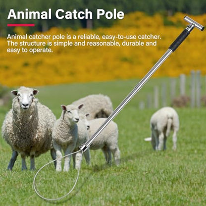 Dog Catcher Pole Portable Hog Pig Catcher Stainless Steel Pig Holder Animal Control Pole Tool Livestock Farm Equipment