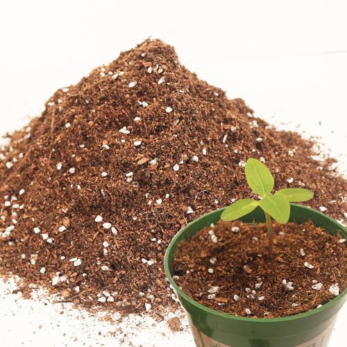 3QT Potting Soil Mix for Indoor Plants - Contains Perlite, Peat Moss, Coco Coir & Rice Charcoal, Natural & Organic Material with Well-Draining, Light & Aerated Texture for Healthy Roots & Fast Growth - color: Potting Soil, size: 3QT