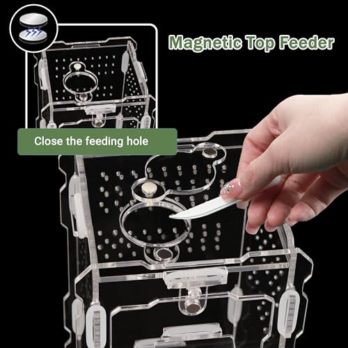 Jumping Spider Enclosure Kit - Acrylic Habitat with Magnetic Lock & Feeding Port - 5.1x3.1x3.1 inch Ventilated Terrarium for Small Pets, Jumping Spiders, Tarantula Slings, Beetles