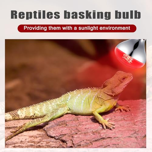 4 Pack 250 Watt Heat Lamp 120v R40 Heat Lamp Bulbs Glass Incandescent Light Bulbs Incandescent Heating Lightbulbs for Reptiles Chicks Food Puppies Bathroom, Use E26 Base (Red) - color: Red