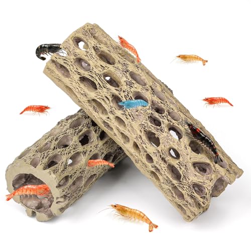 Uniclife Shrimp Hides for Aquarium, Shrimp Cave, Realistic Resin Aquarium Hollow Cholla Wood Decorations, Shrimp Hideout Tank Accessories for Fish Tank Decor, Hiding & Resting,2pcs - size: 2 PC
